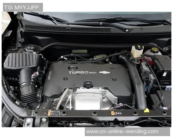 谢尔菲德联与莱切斯特的激烈对决谁能在英超赛场上笑到最后